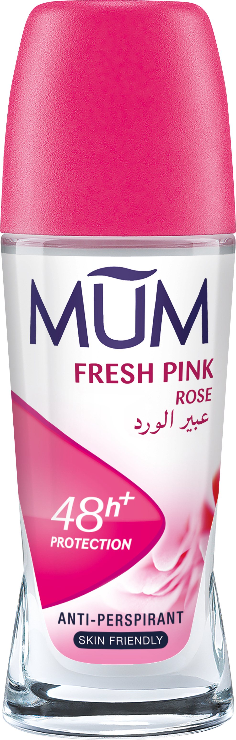 Fresh Pink Rose